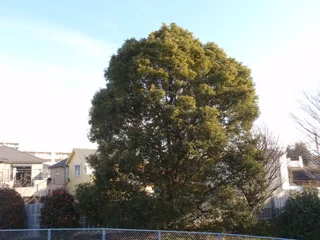 施工実績1