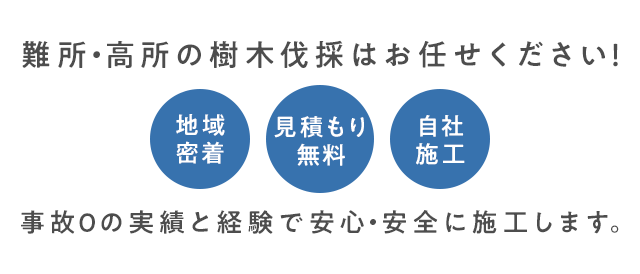 難所・高所の樹木伐採は お任せください！